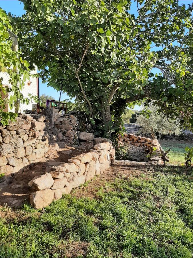 Magic Nature Lodge Marvão Buitenkant foto