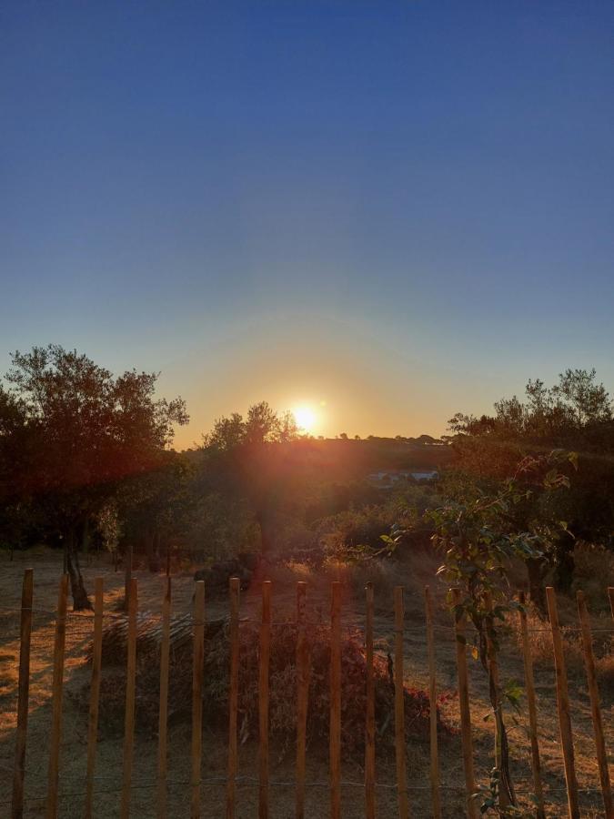 Magic Nature Lodge Marvão Buitenkant foto